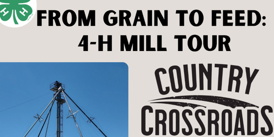 From Grain to Seed