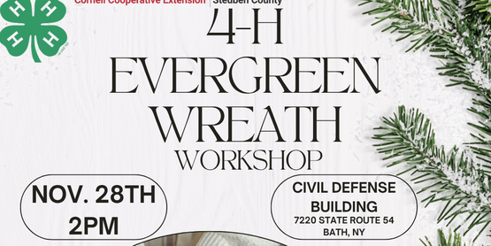 4-H Evergreen Workshop