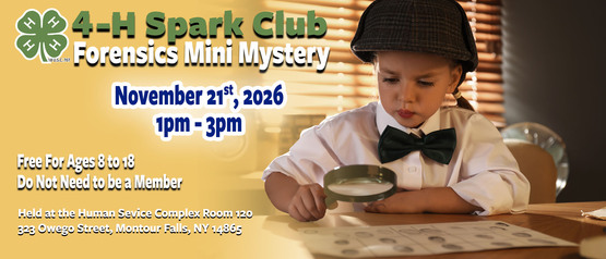 4-H Sparks Club Mini Mystery Banner