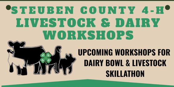 Livestock and Dairy Workshops