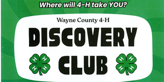 Wayne County 4H Discovery Club