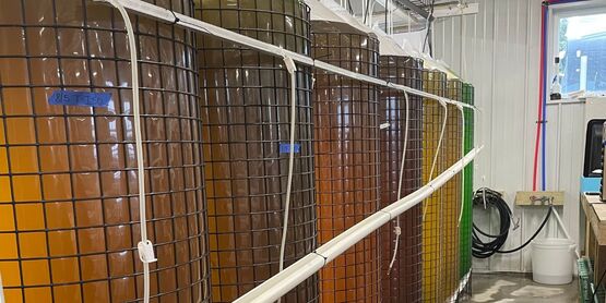 SCMELC production hatchery