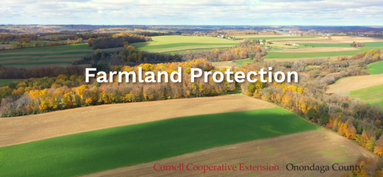 farmland protection thumb crop