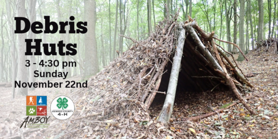 Debris Huts
