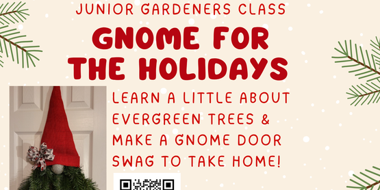 Steuben Junior Gardeners December Class