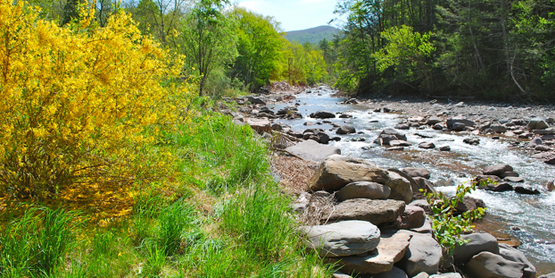 Join the Ashokan Watershed Stream Steward Volunteers! www.ashokanstreams.org