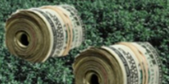 Money in a field