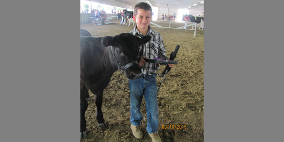 fair 2015