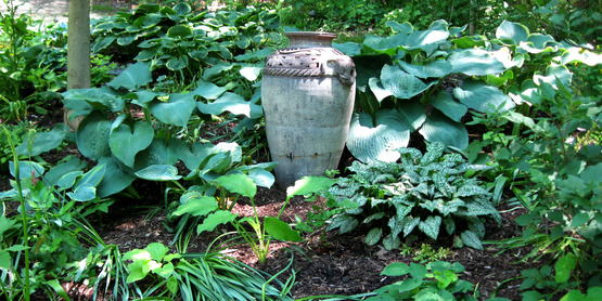 shade garden with urn and hostas, taken in Lansing NY on the 2013 Open Days Garden Tour