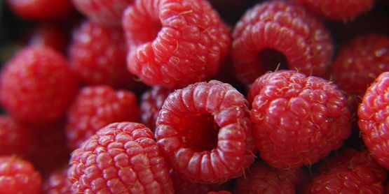 photo of fresh raspberries