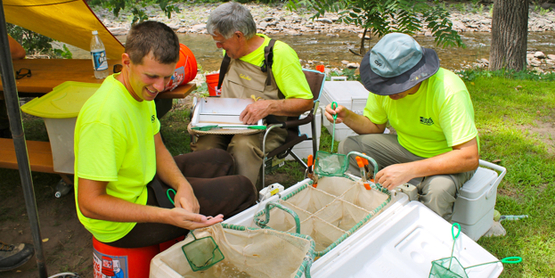 Researchers from the USGS examine fish community health in the upper Esopus Creek drainage system.