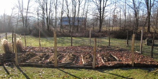 Raised beds built with downed trees