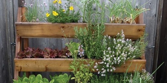shelf garden