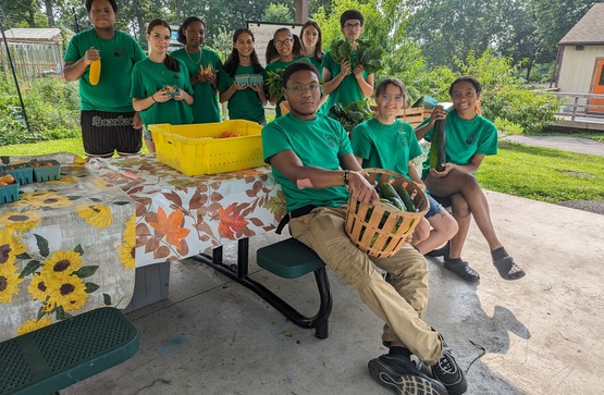 Green Teen Beacon Free Farm Stand 