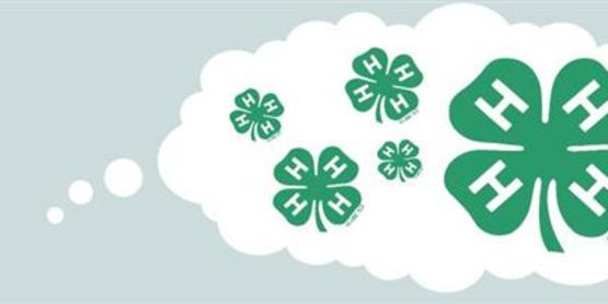 4-H Clover