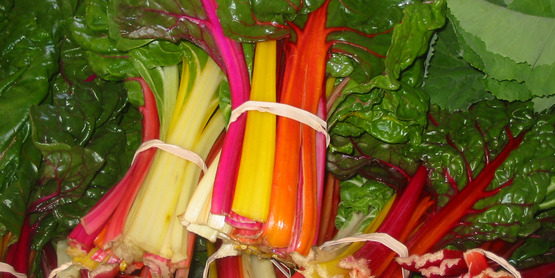 rainbow chard