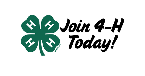 4-h