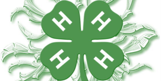 4-h