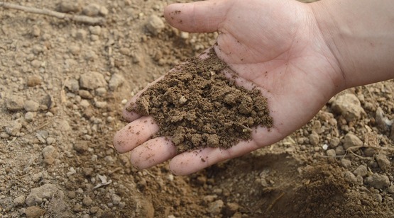 Soil Manure
