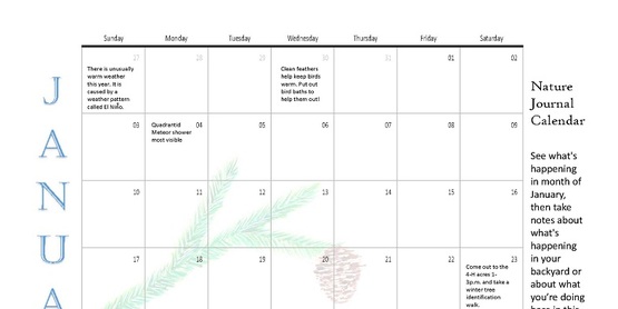 4-H P.E.S.T. Nature Journal Jan.