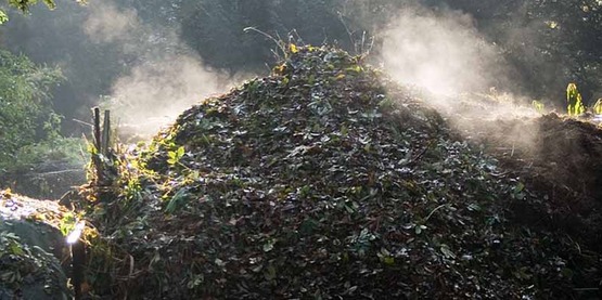 Compost heap on a frosty morning. The rising steam shows that the bacterial action in the compost heap is exothermic.