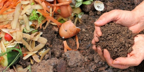 composting