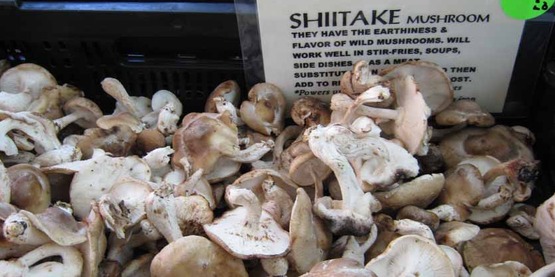 shiitake mushrooms on sale at a farmers' market in NYC