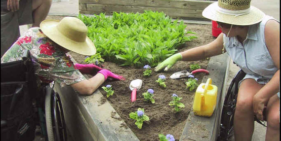 The Unlimited Garden