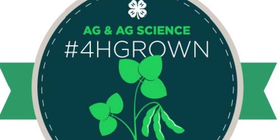 4-H Ag
