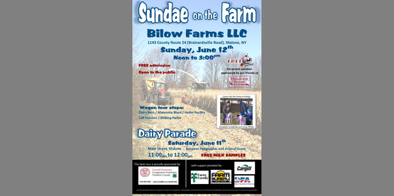Sundae farm tour