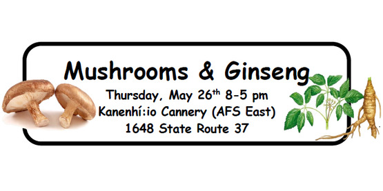 Mushroom Ginseng workshop