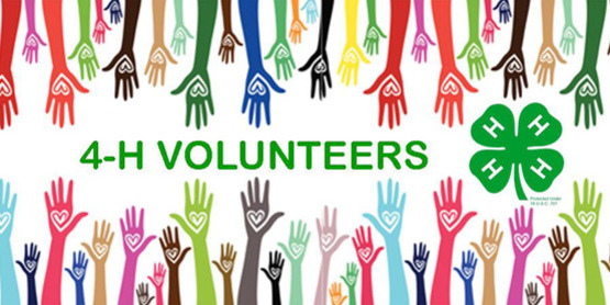 volunteer with 4h
