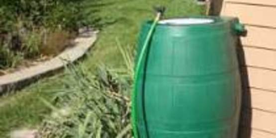 Rain barrel