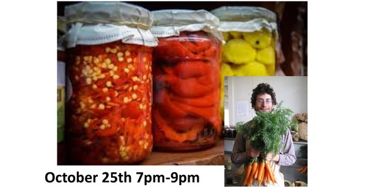 Lacto-fermentation flyer