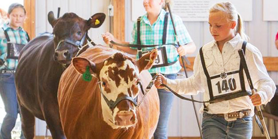 Hemlock Fair participants