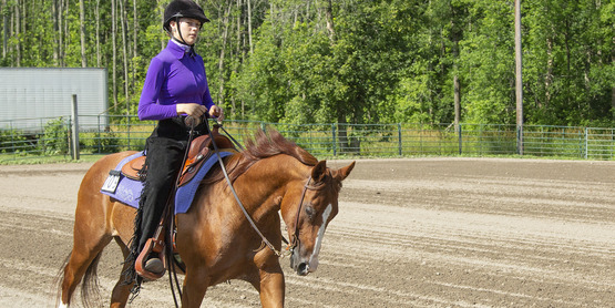 Heidi Phelps participating in a Hemlock Fair Horse Show.