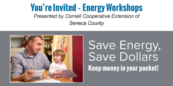 Save Energy, Save Dollars