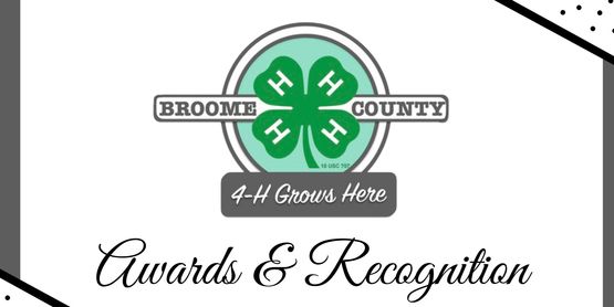 2020 Awards & Recognition 