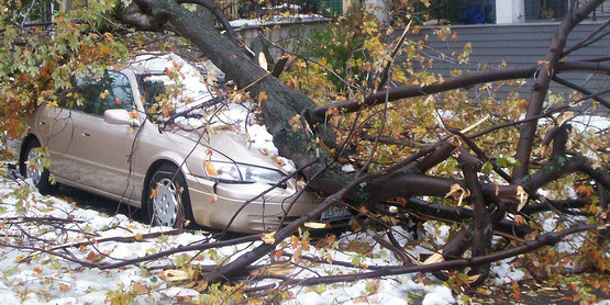 A car is crushed by a tree limb on Potomac off Elmwood Avenue in Buffalo, New York during the "Friday the 13" snow storm. October 14, 2006.