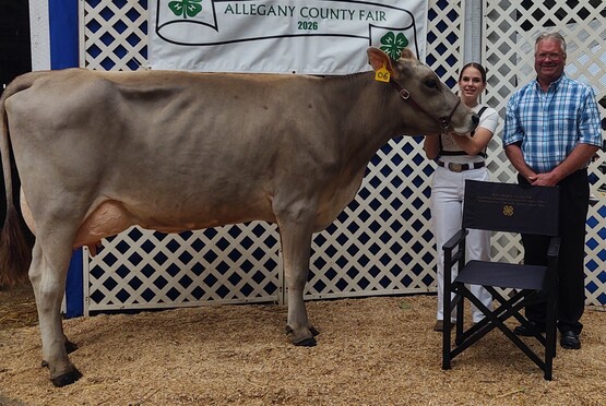 supreme cow
