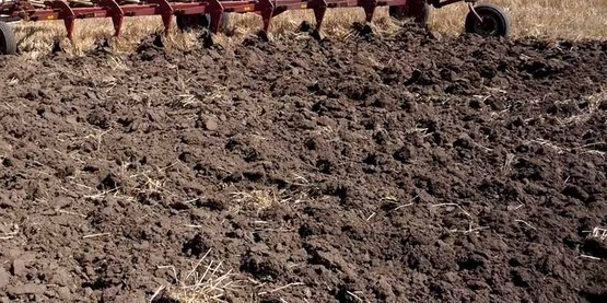 close-up photo of soil after tilling