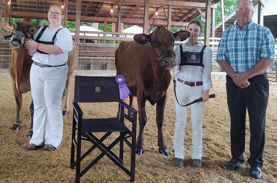 dairy master showman