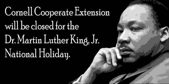 Graphic for closure on Dr. Martin Luther King, Jr. Day
Original photo is in the public domain in the National Archives.