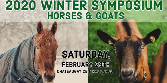 horse, goat symposium