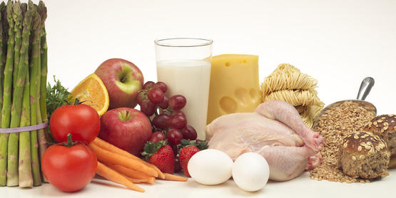 ESNY provides nutrition education materials and sponsors education events and classes in local communities on a variety of nutrition topics like: healthy eating on a budget, smart shopping for vegetables and fruit, healthy meal planning, basic cooking and food safety skills, weight control and physical activity. 