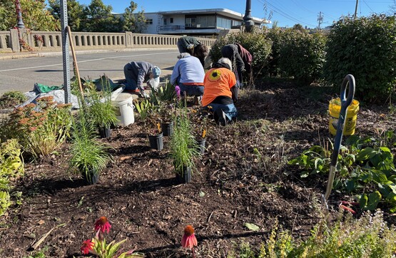 Volunteers planting perennials at Van Horn Park