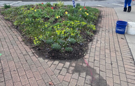 A small traffic island at Clinton and Meadow Streets