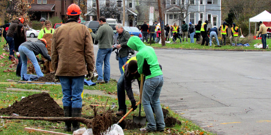 Save the Rain program - street planting effort