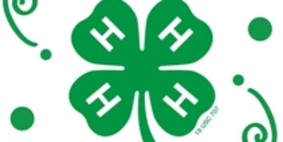 Celebration Clover
