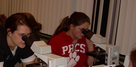 Vet Science Students analyzing slides.